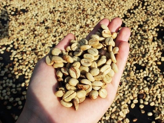 The Elegance of Supremo Coffee