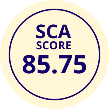 Blend Gesha - Pink Bourbon | SCA Score: 85.75 | Net Weight: 12 oz (340 g)