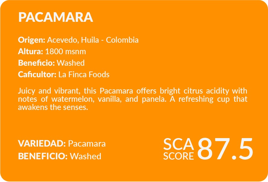Pacamara | SCA Score: 87.5 | Net Weight: 12 oz (340 g)