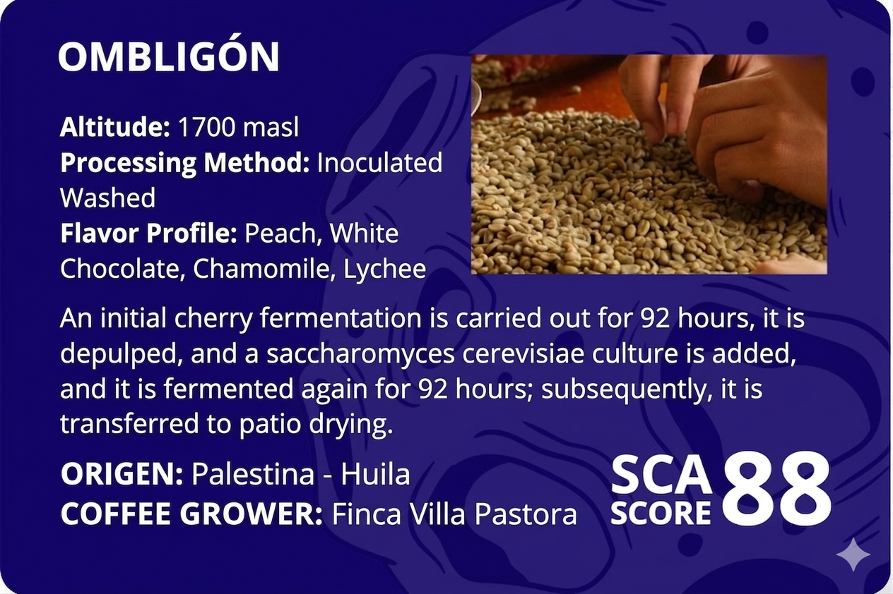 Ombligon | SCA Score: 88 | Net Weight: 12 oz (340 g)