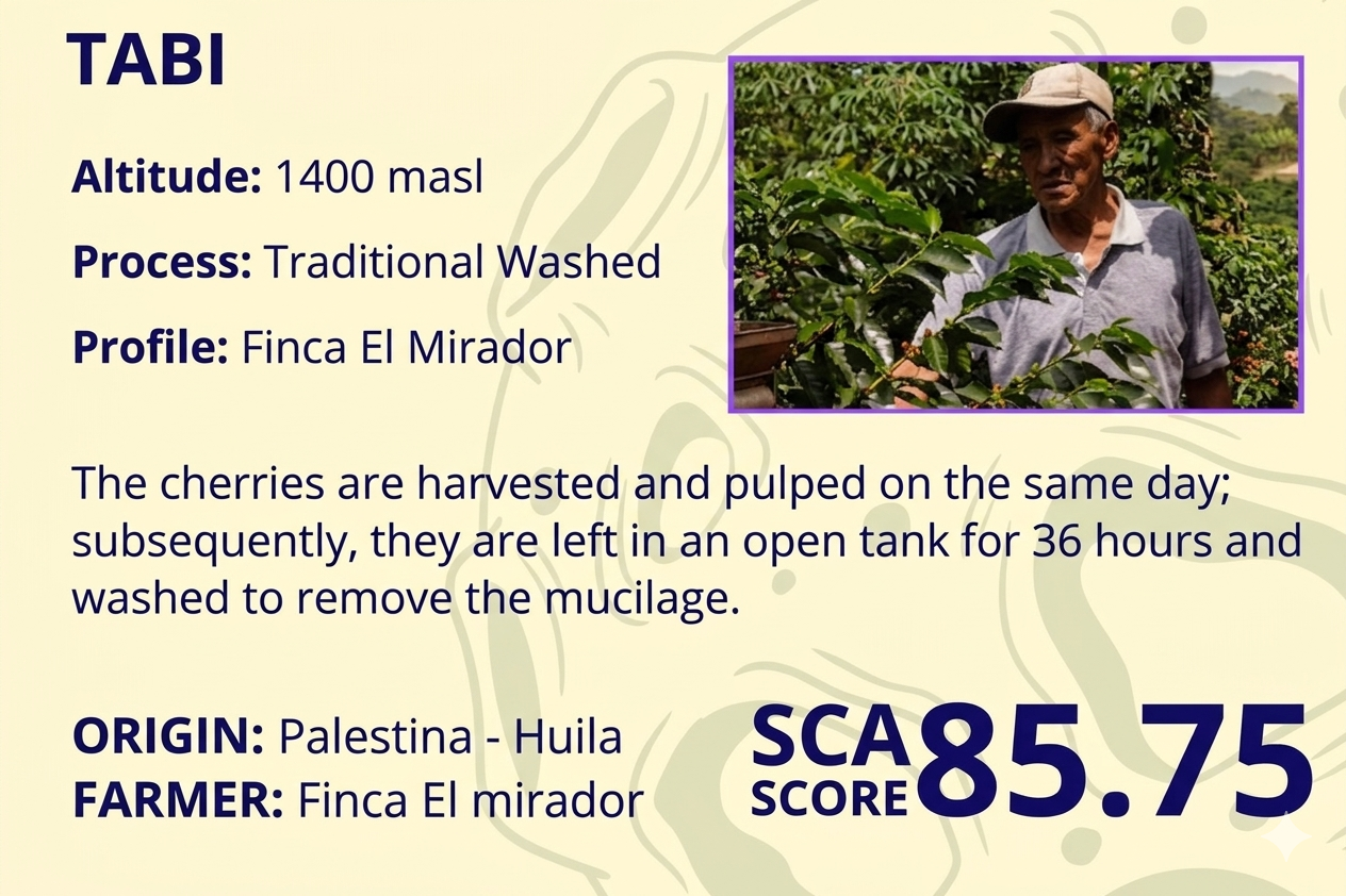 Tabi | SCA Score: 85.75 | Net Weight: 12 oz (340 g)