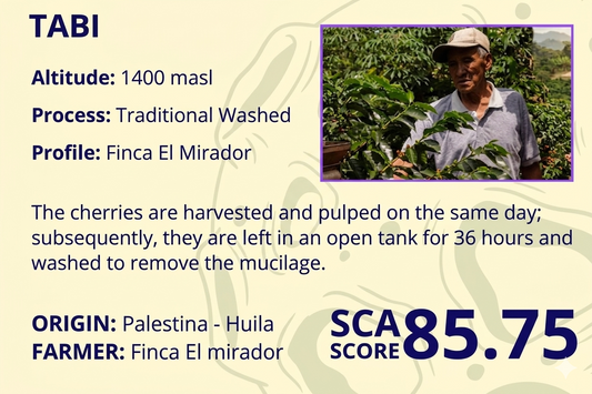 Tabi | SCA Score: 85.75 | Net Weight: 12 oz (340 g)