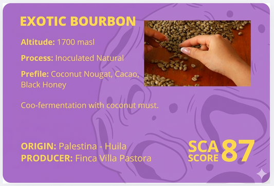 Exotic Bourbon | SCA Score 87 | Net Weight: 12 oz (340 g)