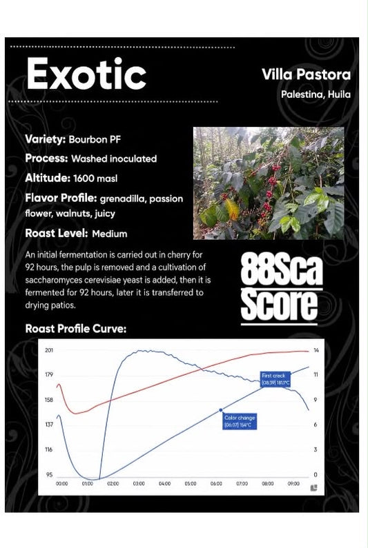 Bourbon PF| SCA Score 88| Net Weight: 12 oz (340 g)