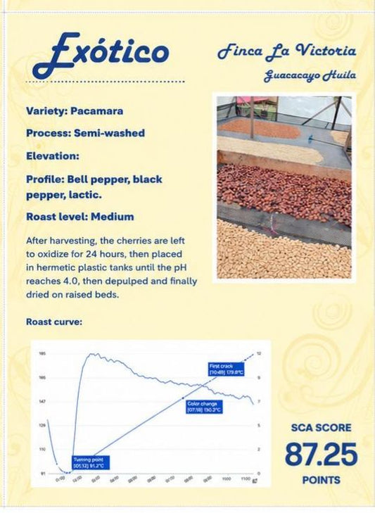 Pacamara | SCA Score: 87.25 | Net Weight: 12 oz (340 g)